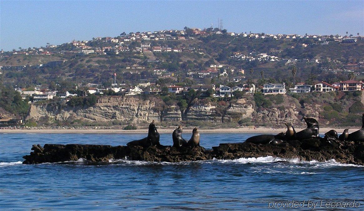 Holiday Inn Express San Clemente N - Beach Area By Ihg מראה חיצוני תמונה